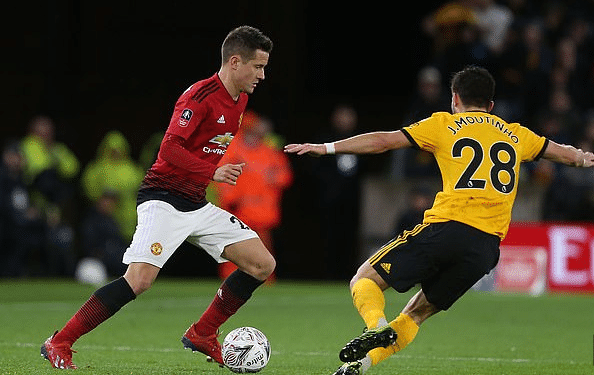 年轻前锋莫 年轻前锋莫